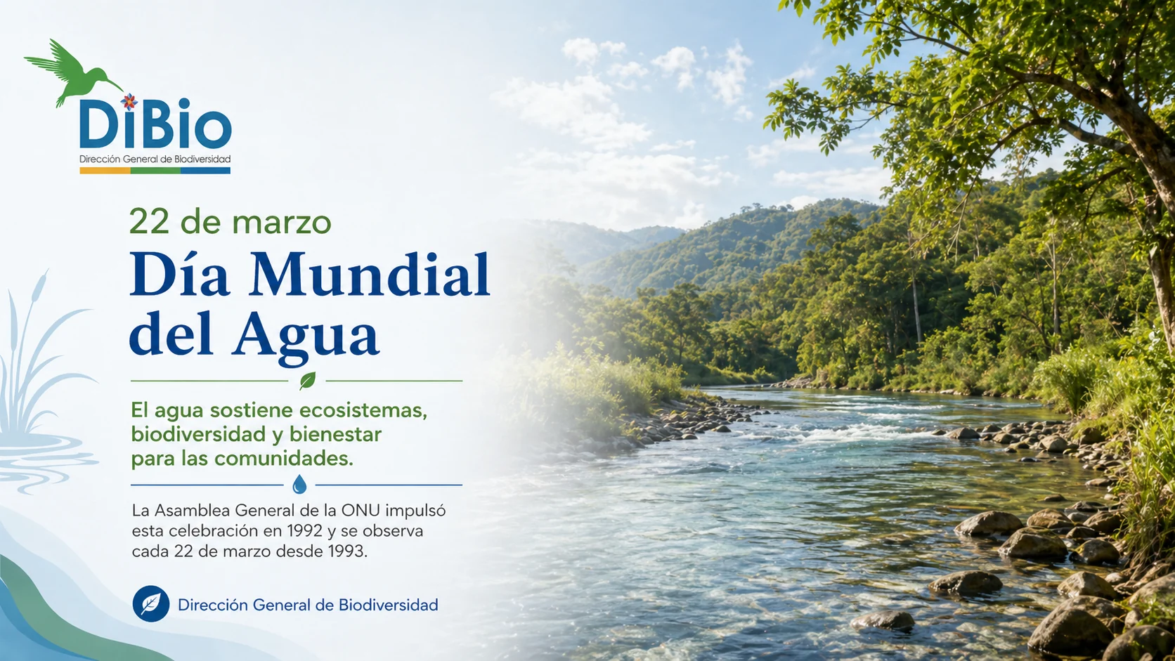 Día Mundial del Agua